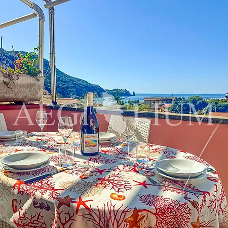 Apartamento Antonella